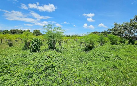  Land Near Main Road for Sale in Carretera Nueva a León 