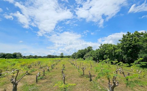  Spacious and Multifunctional Land for Sale in Carretera Nueva a Leon