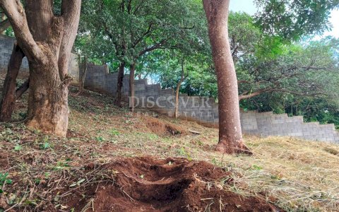  Land for sale in Villa Fontana Sur