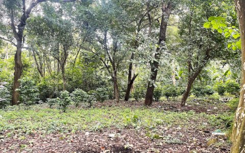  Lot for sale located in San Isidro de La Cruz Verde 