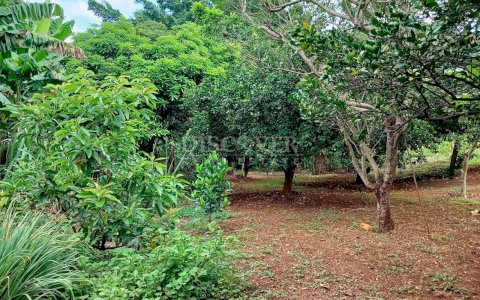  Land for sale in Carretera a Masaya 