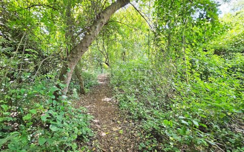  Land for sale located in residential area 