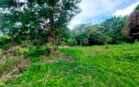  Lots for sale in Pochomil