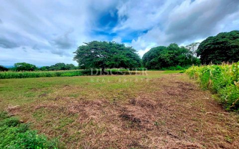  Land for Sale in Front of the Masaya Highway 