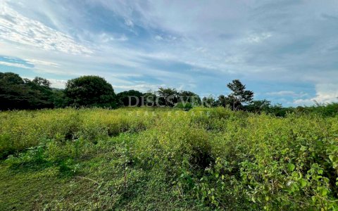  Land for sale in San Isidro de la Cruz Verde