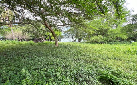  Private Island for Sale in Grenada - Your Own Paradise