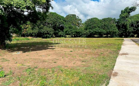  Flat topography land for sale and rent in Rivas