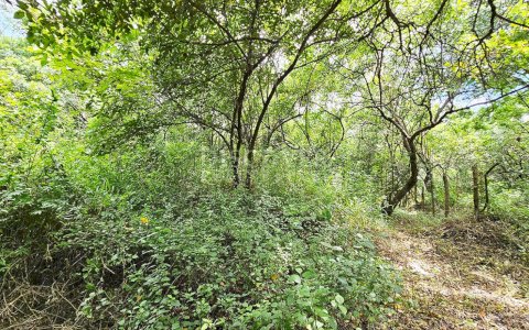  Land in front of main street for sale - Highway to Veracruz 