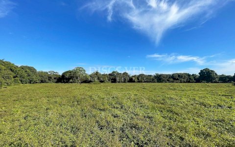  Land for sale in Carretera a Masaya 