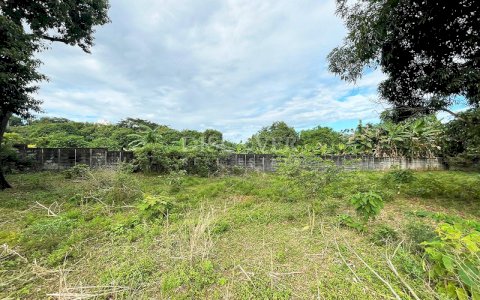  For sale land in San Isidro de la Cruz Verde 
