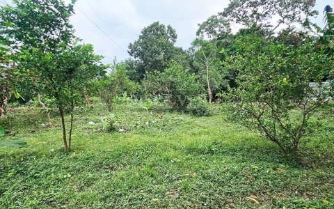  Land in front of the road to Masaya for sale 