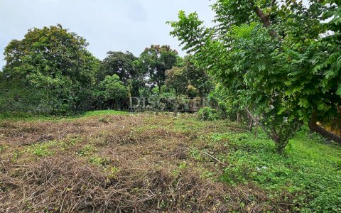  Lots for sale in Carretera Nueva a León