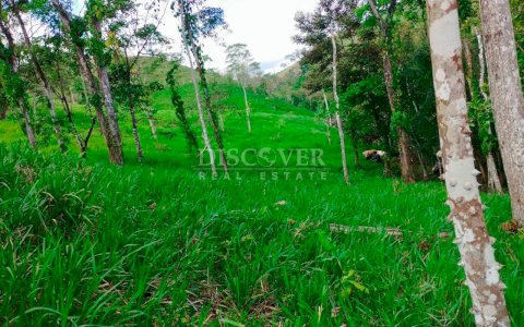  Agricultural Farm for Sale in Matagalpa