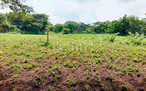 Land for sale on Carretera Sur with multiple access points