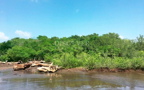  Beachfront Land for Sale in Rivas, Nicaragua – with High Development Potential