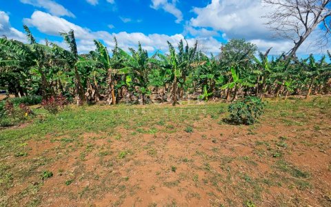  Agricultural farm for sale in Jinotepe