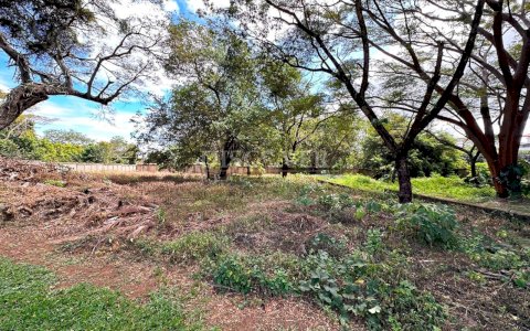  Land for sale in Santo Domingo