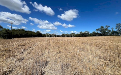  Land for Sale in Sabana Grande