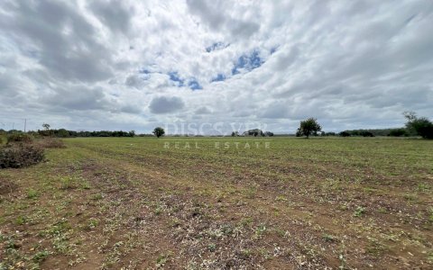 For sale land in front of the highway in Sabana Grande