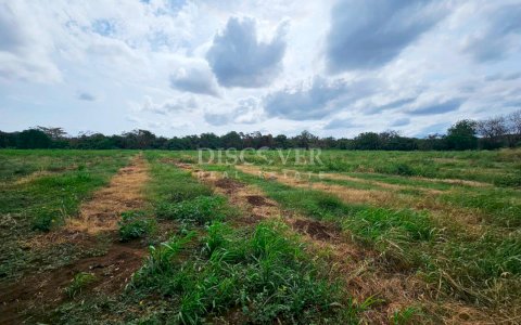  Land for sale in Veracruz