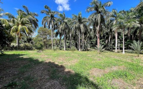  Land for sale with house and swimming pool in Carretera a Masaya 