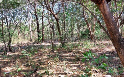  Large farm for sale in Carretera Nueva a Leon 