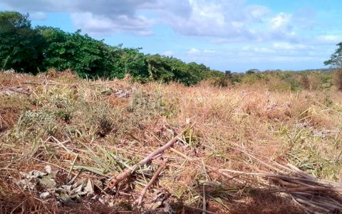  Land for sale in Ticuantepe 