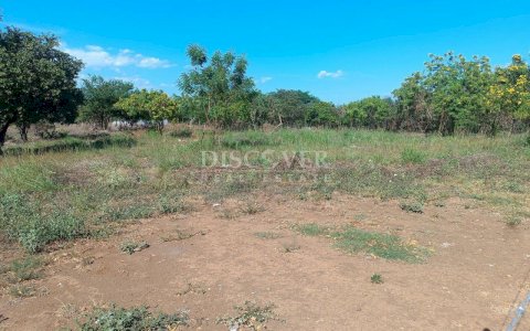  Land for sale close to El Mayoreo market