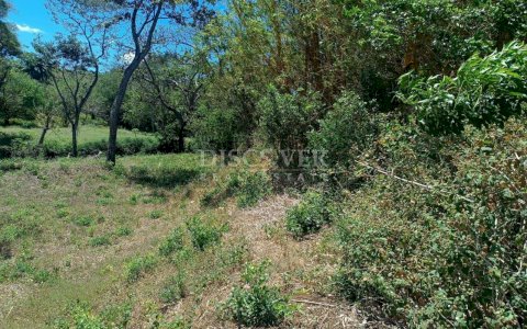  Ideal Land for Residential Development in San Isidro de la Cruz Verde
