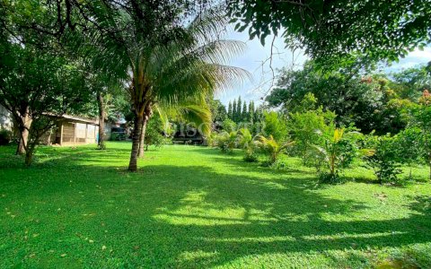  Large land for sale on Masaya Highway