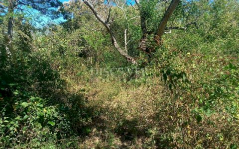  Land for sale in Camino a la Laguna de Masaya