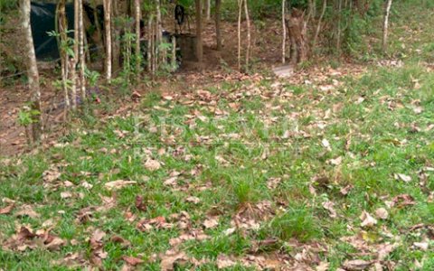  Land for Sale in Rio San Juan 