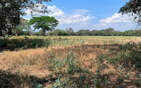  Flat topography land for sale on Sabana Grande Road 