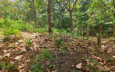  For sale land located in Santo Domingo 