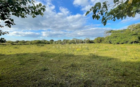  Semi-urban land for sale in Nindirí