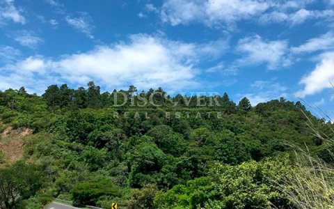 An agricultural farm is for sale located in front of the highway in Jinotega.