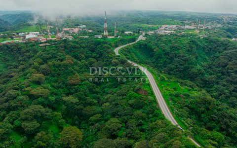  Coffee Farm for Sale in El Crucero