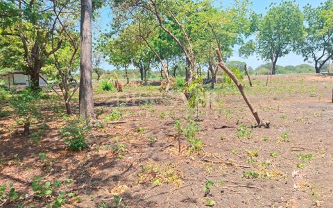  Land for sale in front of the road to Masachapa and Pochomil