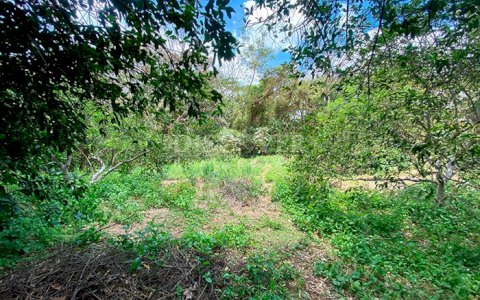 Land for Sale South of Intermezzo del Bosque – Prime Location Surrounded by Nature