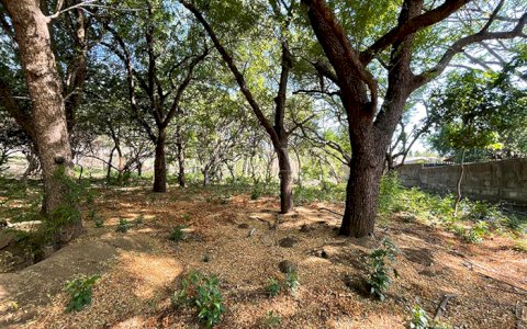  Land on main road for sale - Carretera Vieja a León
