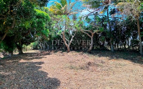 Land for sale on the Panamerican Highway South