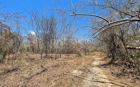  Farm for Sale – 454 Manzanas | Facing the New Costanera Highway