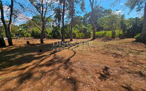  Flat topography land for sale - Carazo 