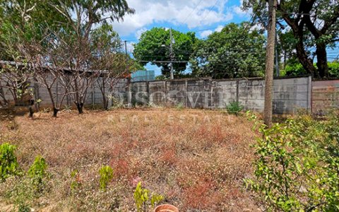  Land for rent in Pista de Enel Central - Managua 