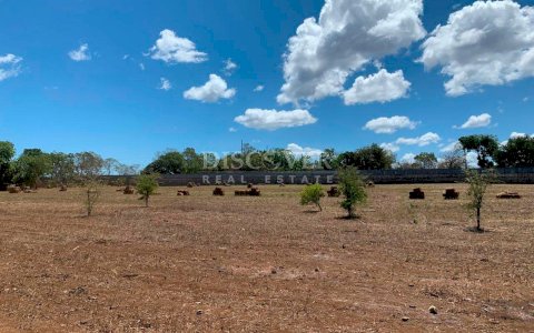  Land for sale in front of the Masaya - Tipitapa road