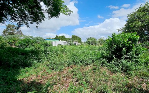  Land for Sale – Facing the Veracruz Highway