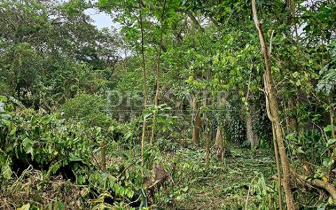  Land for sale in cool climate zone - El Crucero