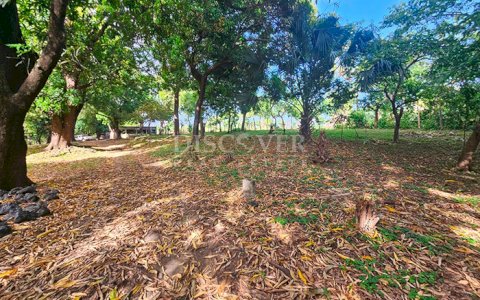  Farm for sale in León