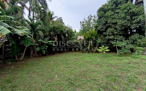For sale land in front of the highway in Carretera a Masaya