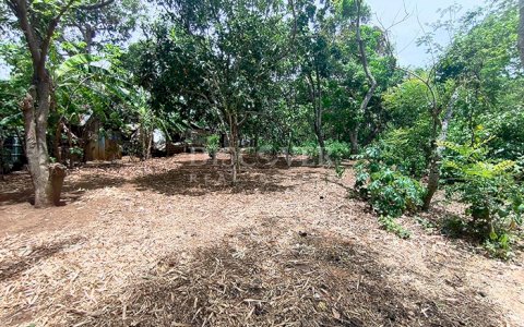  Land for Sale with Residential Potential in Masaya